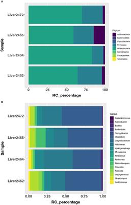 Liver microbial community and associated host transcriptome in calves with feed induced acidosis